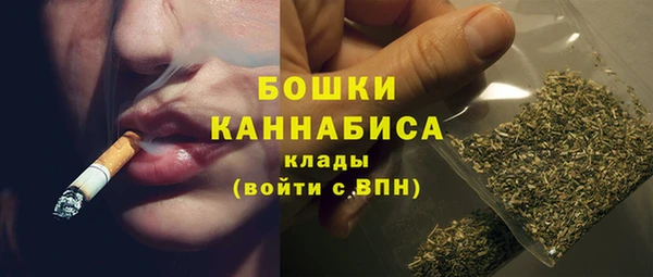 прущие грибы Балабаново