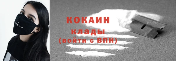 прущие грибы Балабаново