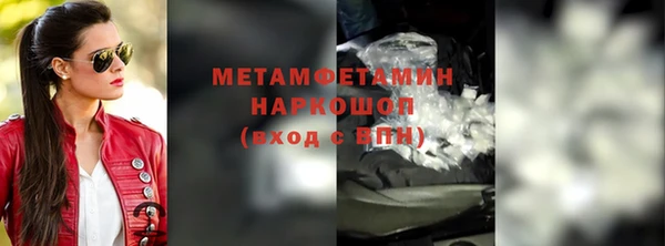прущие грибы Балабаново