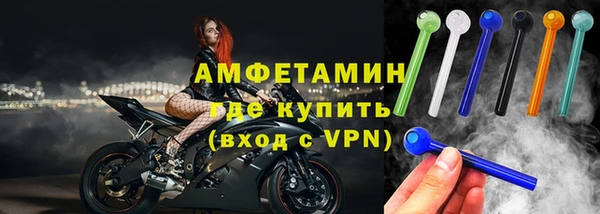 прущие грибы Балабаново