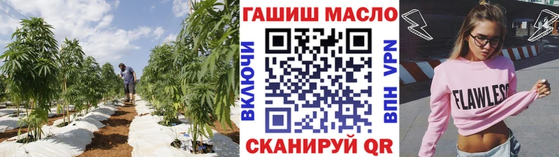 Купить где  Тырныауз  Дистиллят ТГК THC oil 