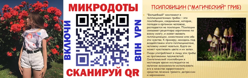 Купить где  Тырныауз  Галлюциногенные грибы Psilocybe 